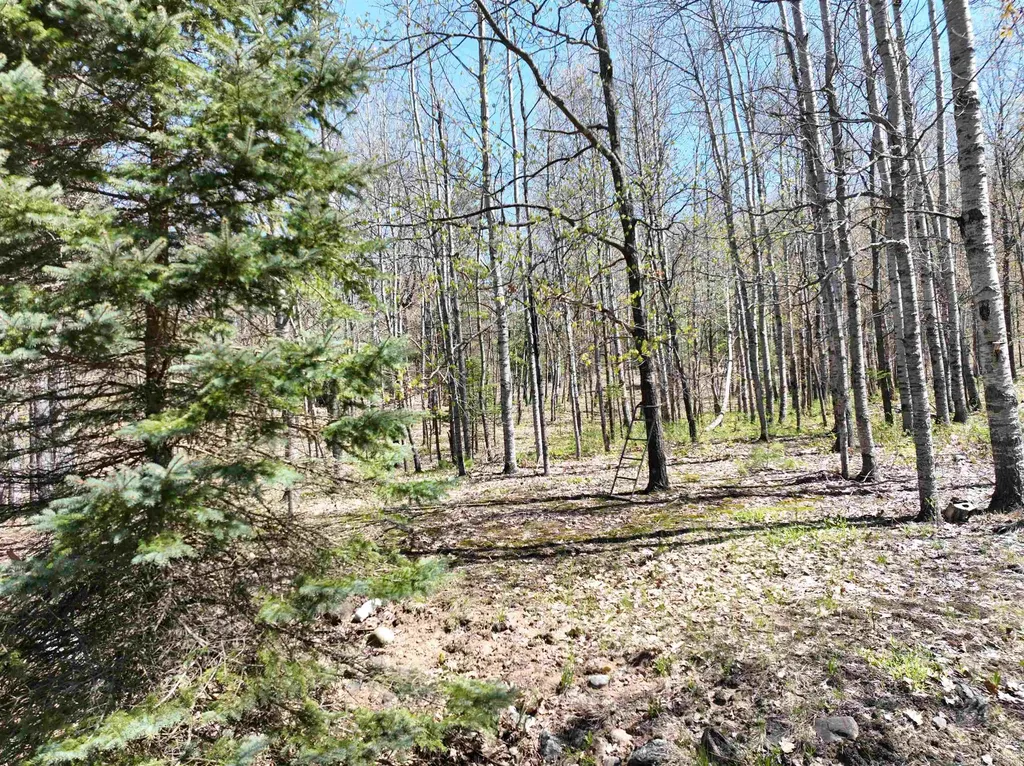319 Lund Road Garfield Township MI 49633
