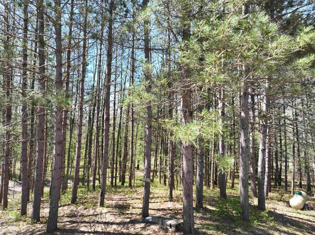 319 Lund Road Garfield Township MI 49633