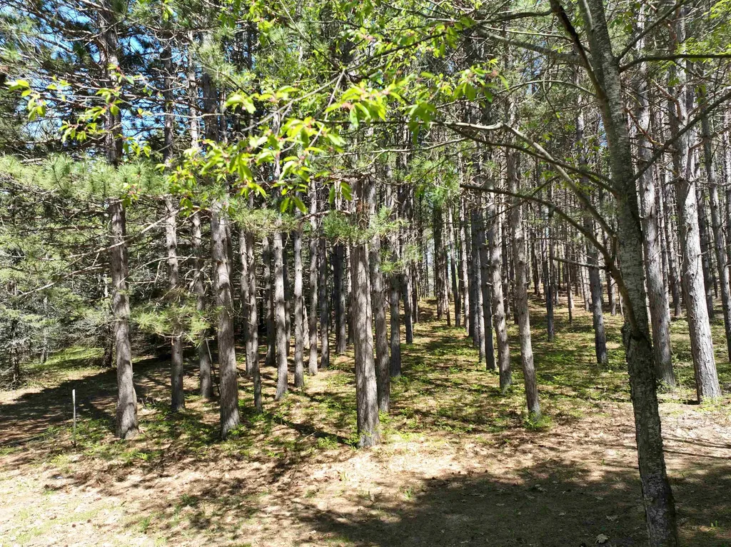 319 Lund Road Garfield Township MI 49633