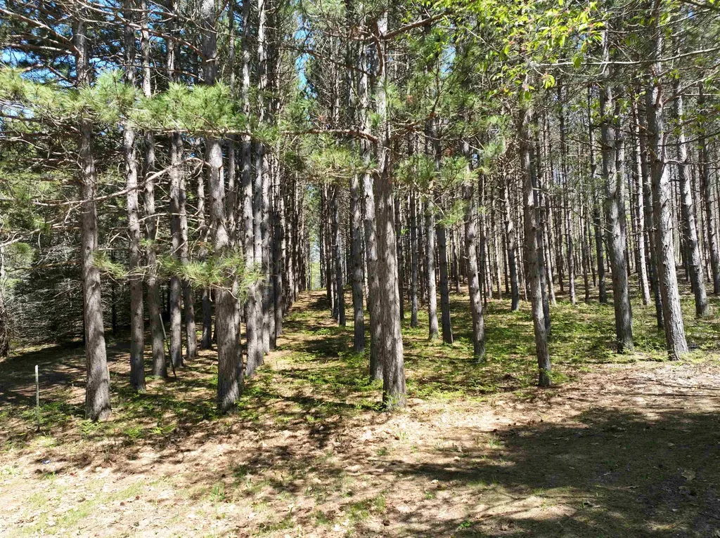 319 Lund Road Garfield Township MI 49633