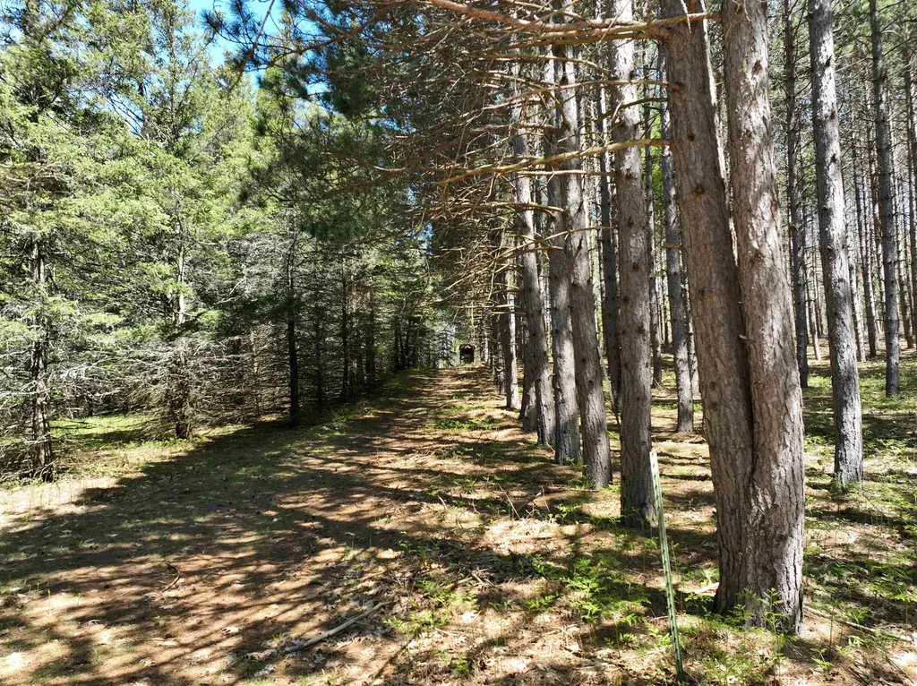 319 Lund Road Garfield Township MI 49633