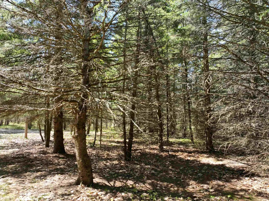 319 Lund Road Garfield Township MI 49633