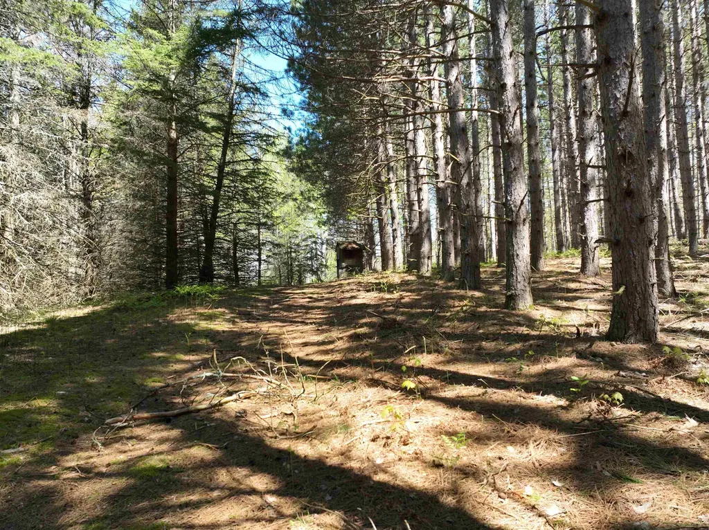 319 Lund Road Garfield Township MI 49633