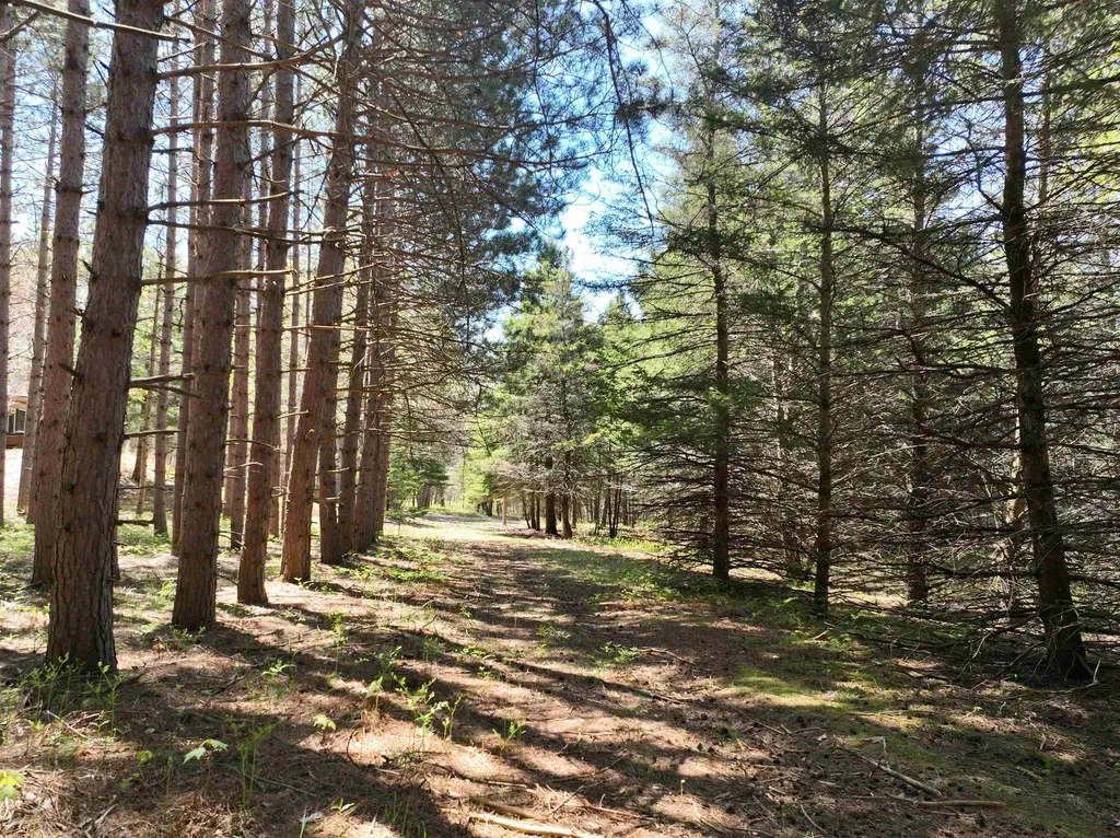 319 Lund Road Garfield Township MI 49633