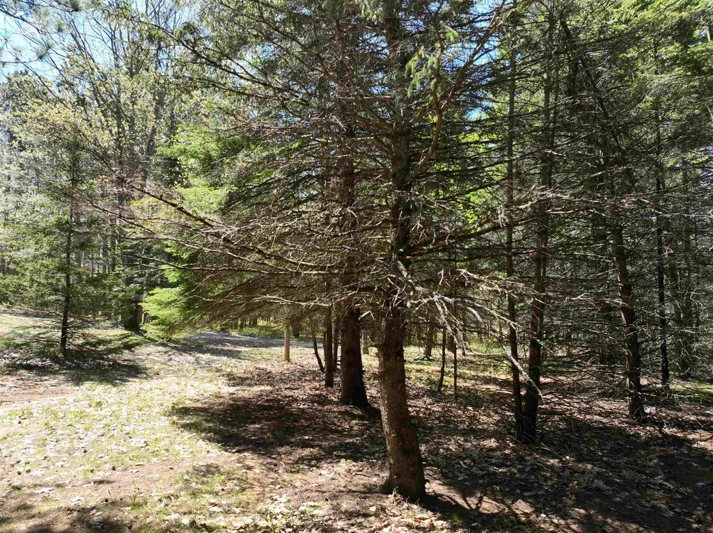 319 Lund Road Garfield Township MI 49633