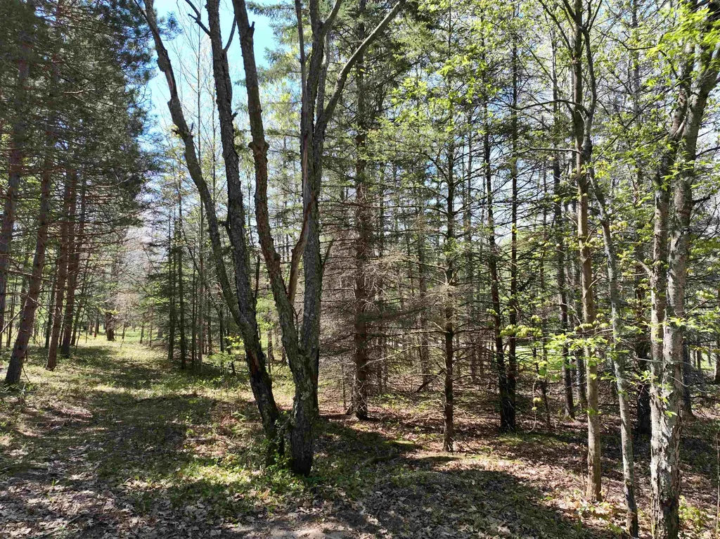 319 Lund Road Garfield Township MI 49633
