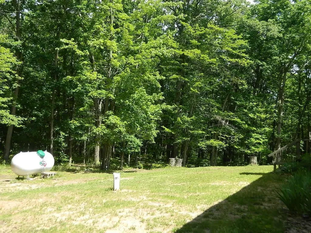 5651 E Haskell Lake Road Frost Township MI 48625