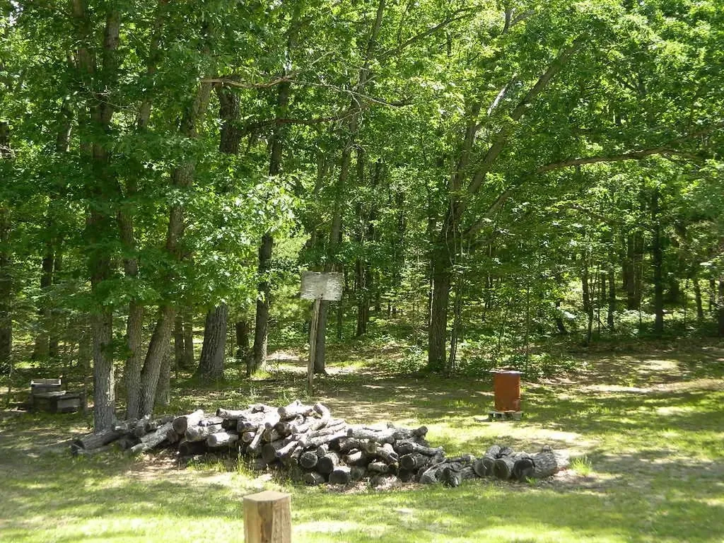 5651 E Haskell Lake Road Frost Township MI 48625