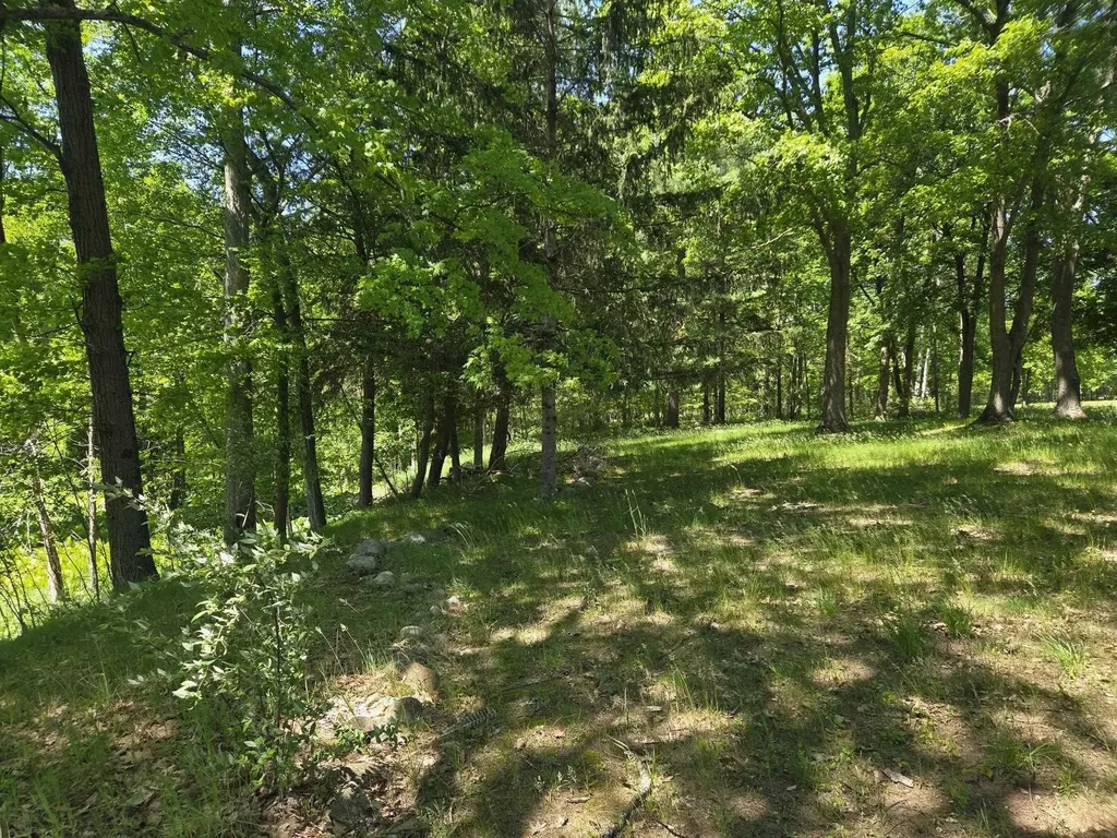 5172 W Pickard Road Deerfield Township MI 48858