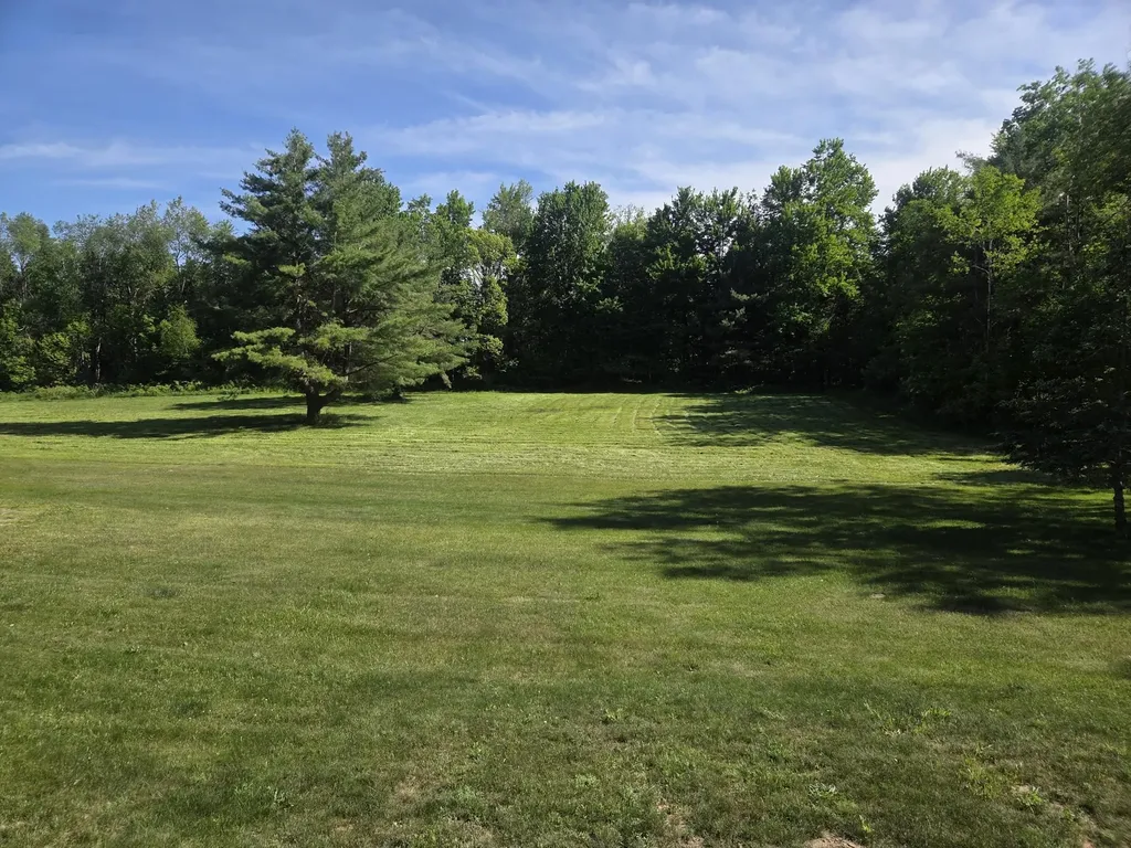 5172 W Pickard Road Deerfield Township MI 48858