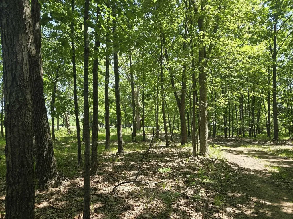 5172 W Pickard Road Deerfield Township MI 48858