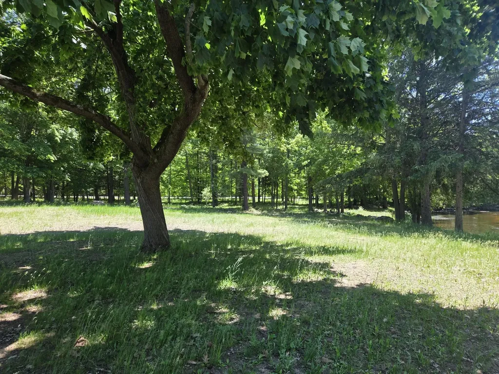 5172 W Pickard Road Deerfield Township MI 48858