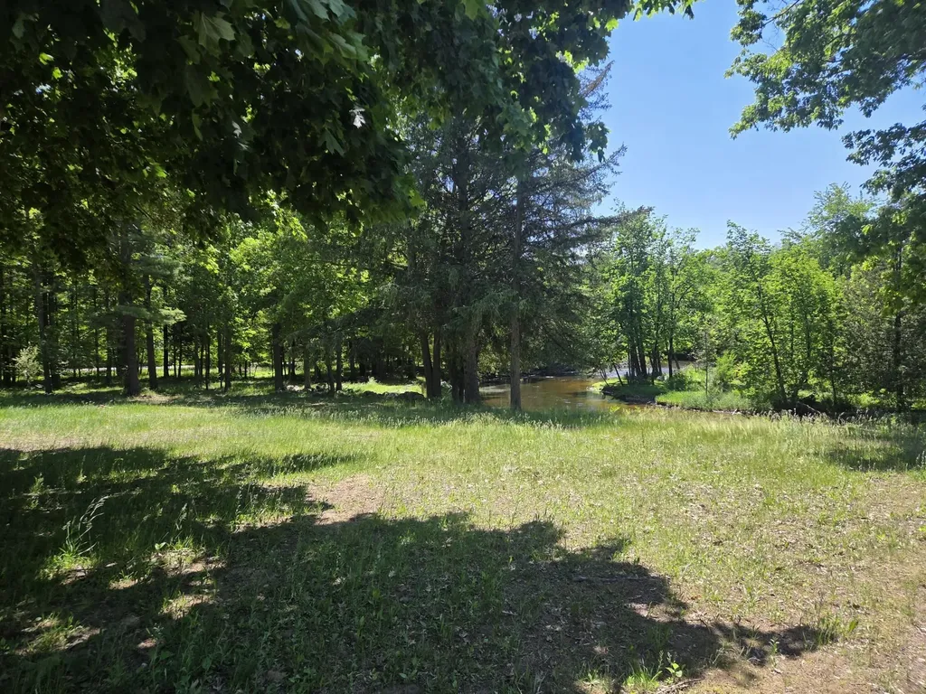5172 W Pickard Road Deerfield Township MI 48858