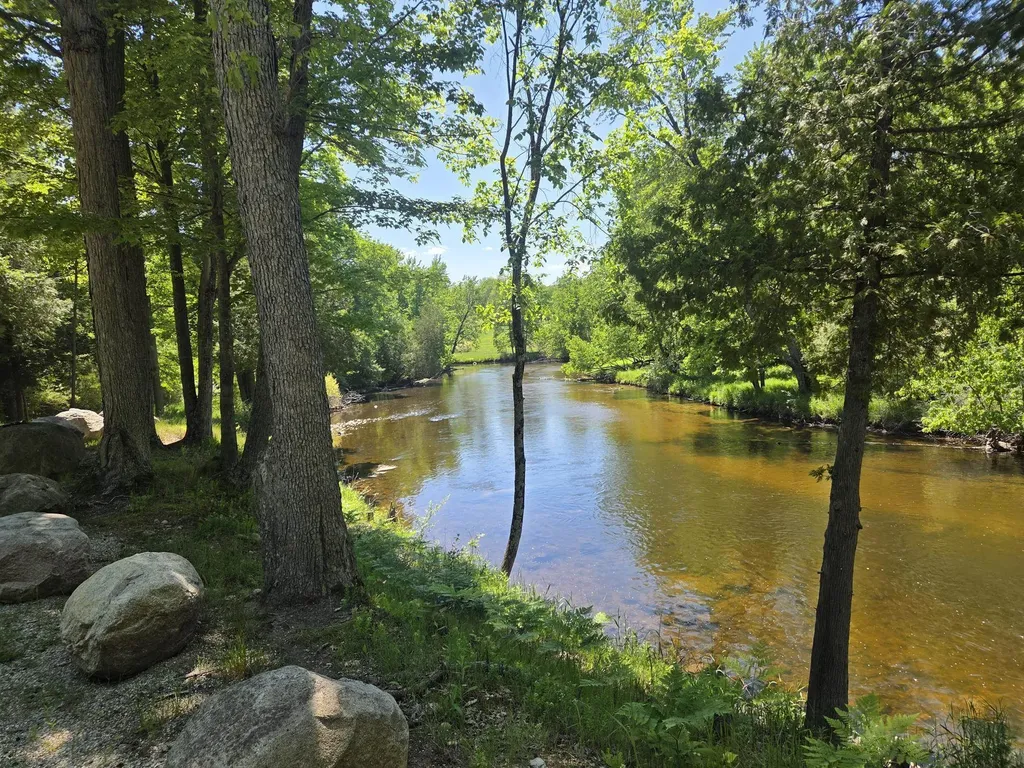 5172 W Pickard Road Deerfield Township MI 48858