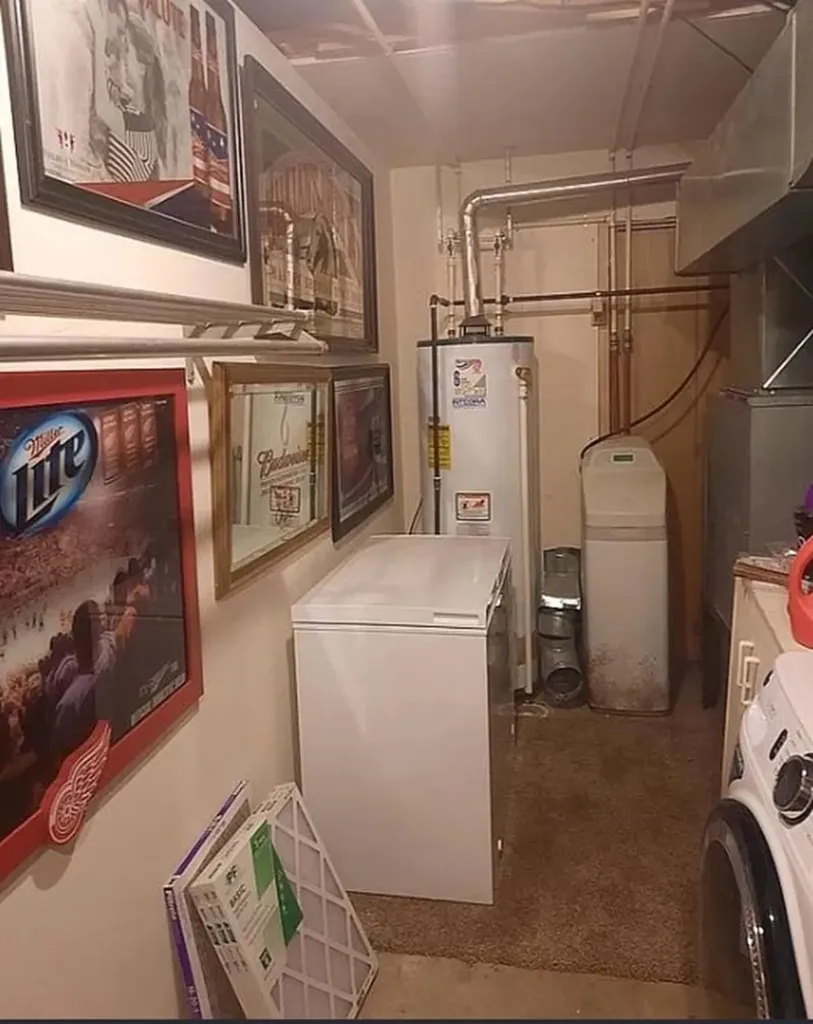 5085 W Redstone Road Jasper Township MI 48880
