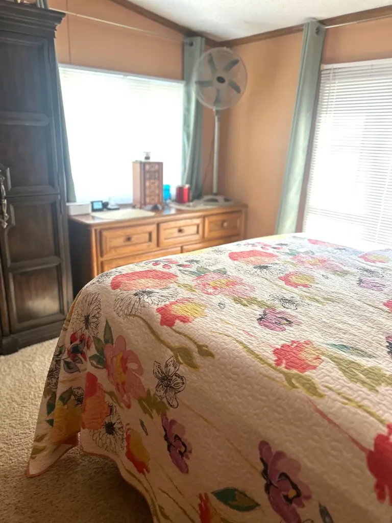 19093 Pike Street Chippewa Township MI 49342