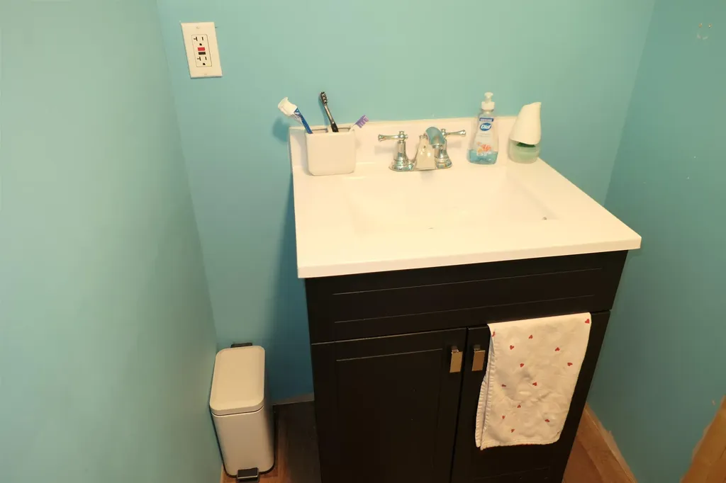 424 S Kinney Street Mt. Pleasant City MI 48858