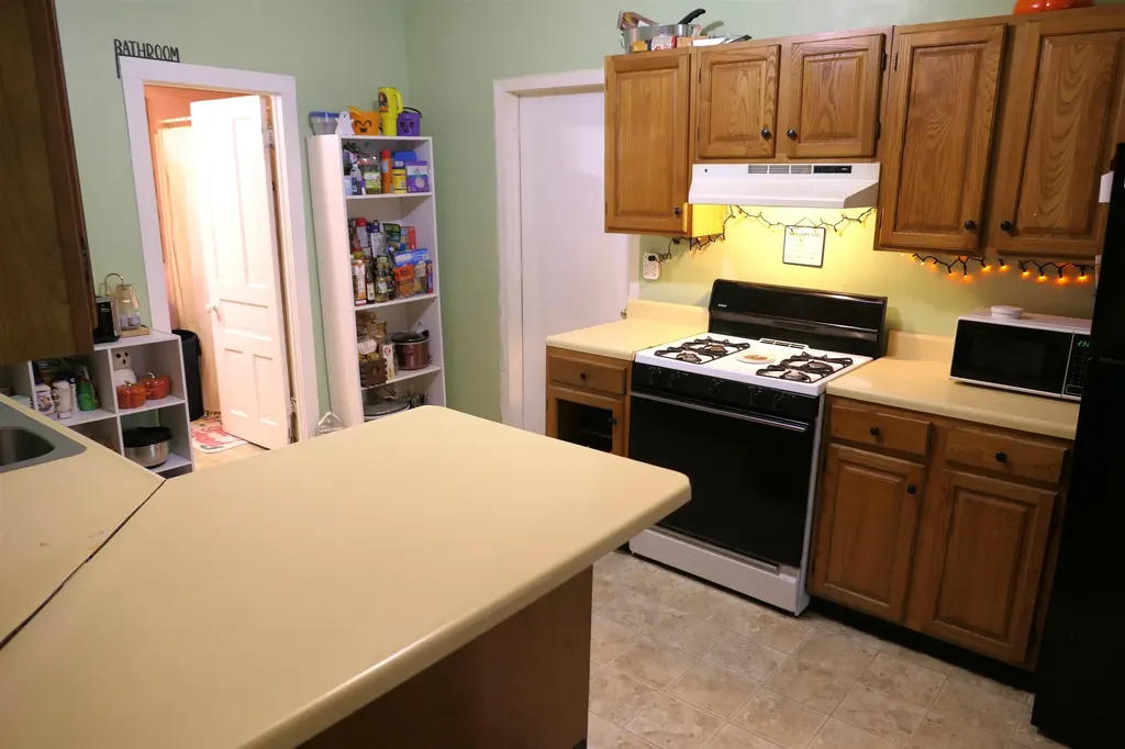 424 S Kinney Street Mt. Pleasant City MI 48858