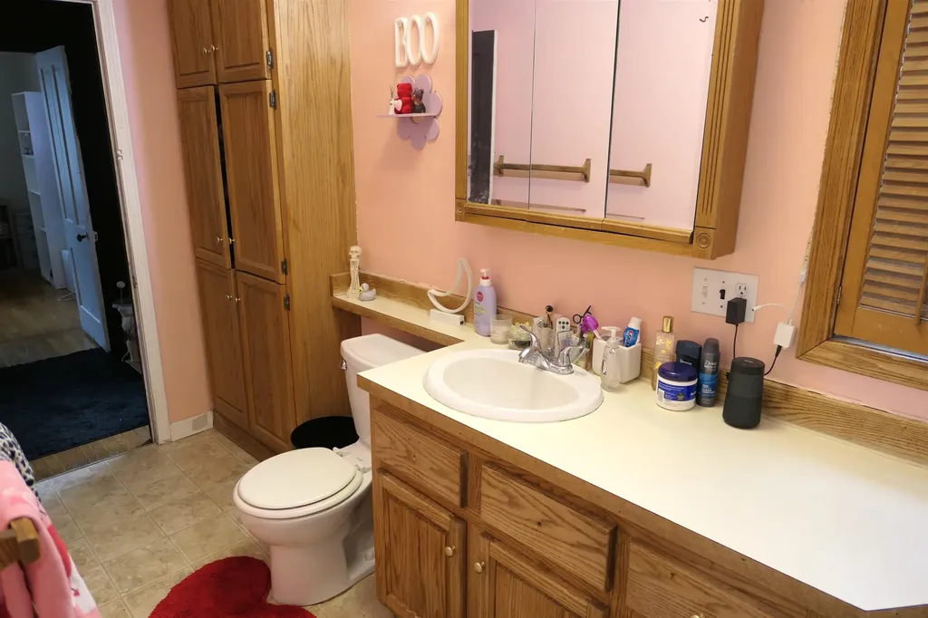 424 S Kinney Street Mt. Pleasant City MI 48858
