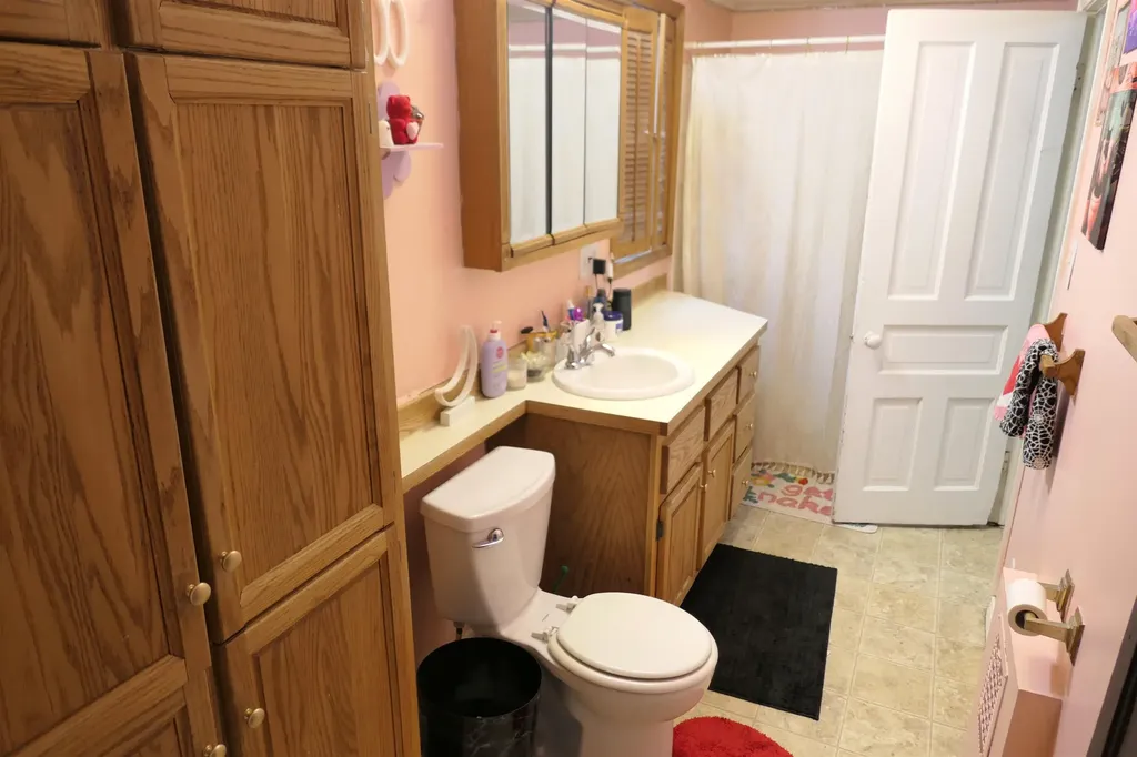424 S Kinney Street Mt. Pleasant City MI 48858