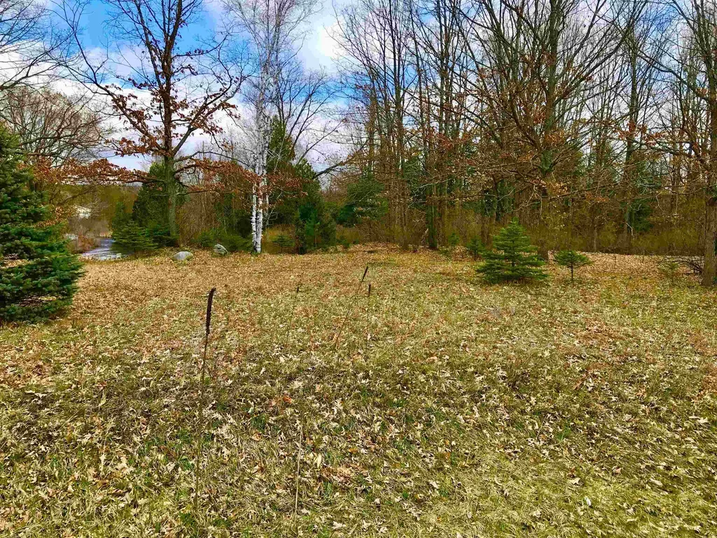 1041 & 1043 Bonanza Lane Sherman Township MI 48893