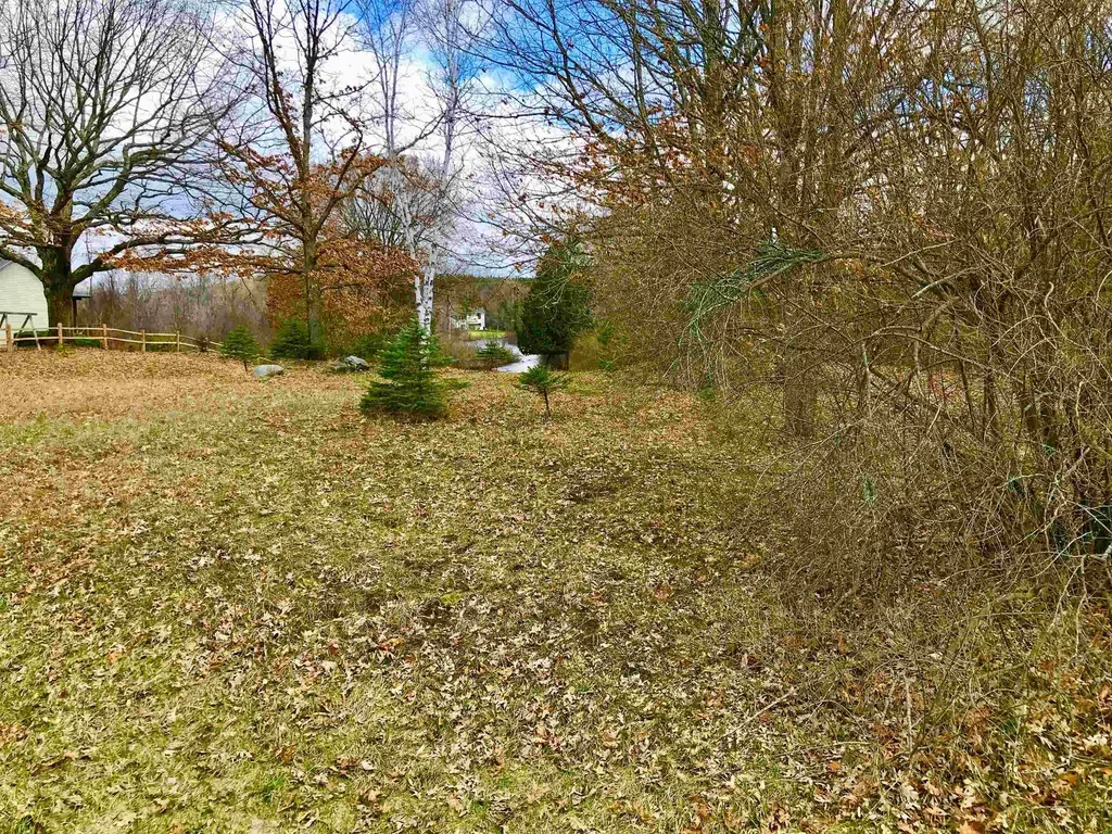 1041 & 1043 Bonanza Lane Sherman Township MI 48893