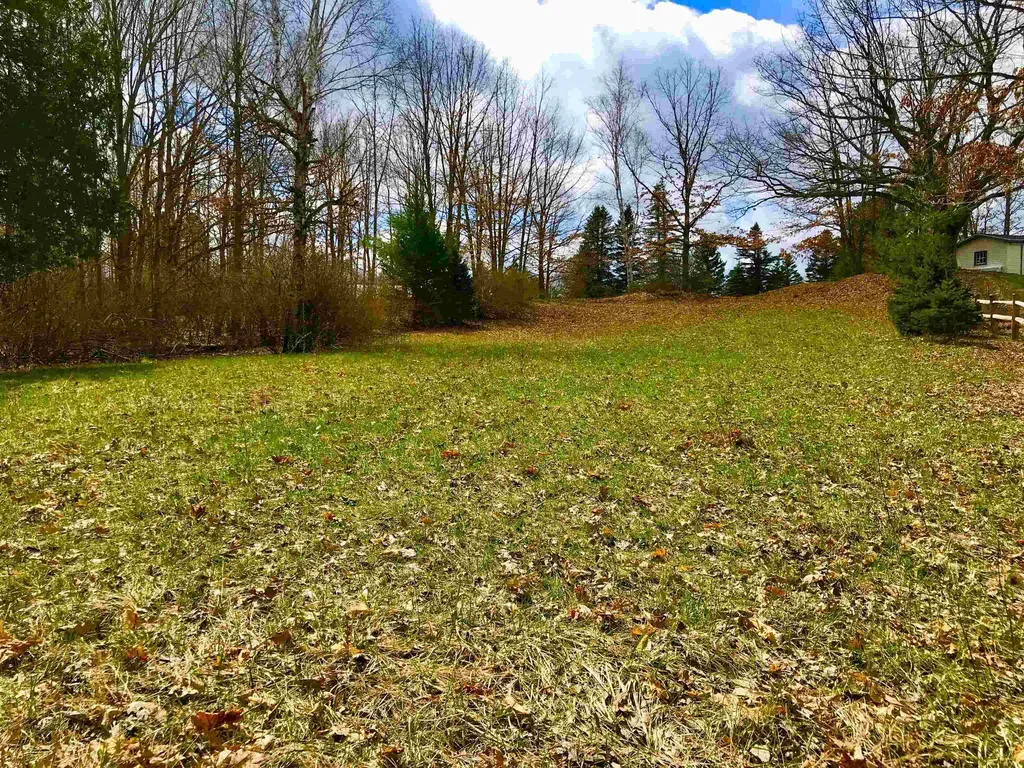 1041 & 1043 Bonanza Lane Sherman Township MI 48893