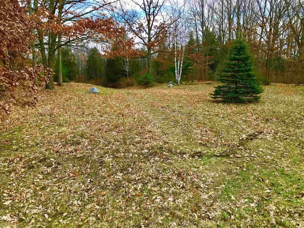 1041 & 1043 Bonanza Lane Sherman Township MI 48893