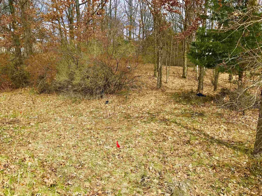 1041 & 1043 Bonanza Lane Sherman Township MI 48893