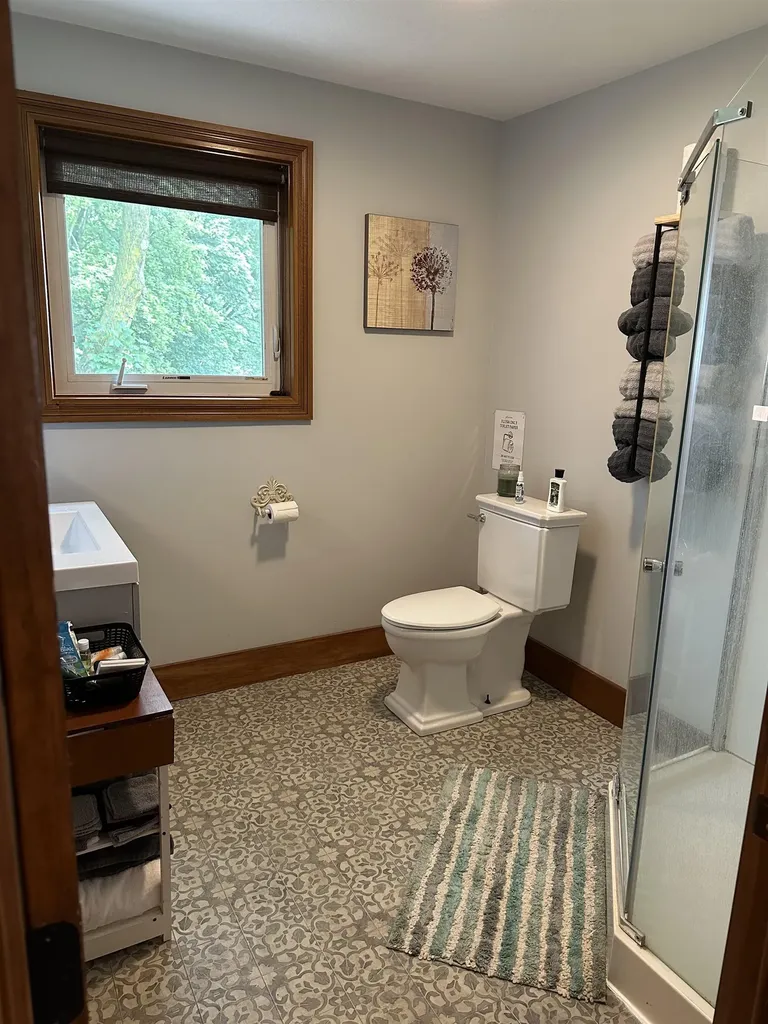 323 W Wright Avenue Shepherd Village MI 48883