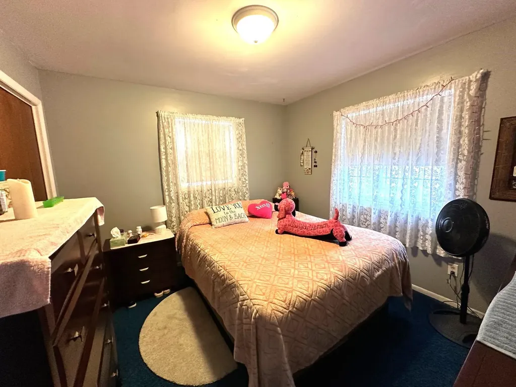 209 West Drive Mt. Pleasant City MI 48858