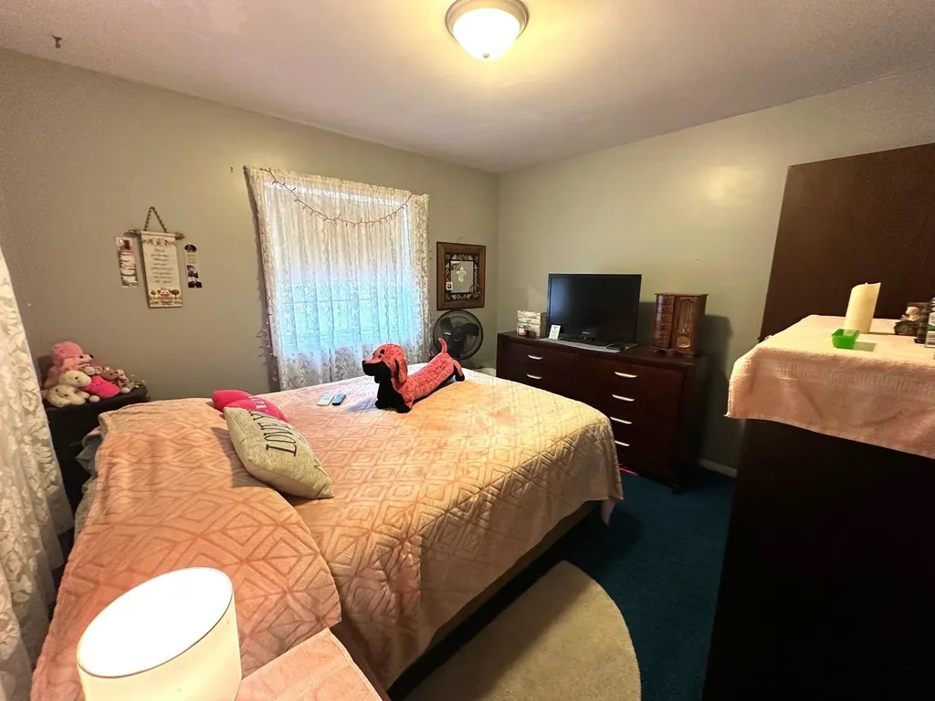 209 West Drive Mt. Pleasant City MI 48858