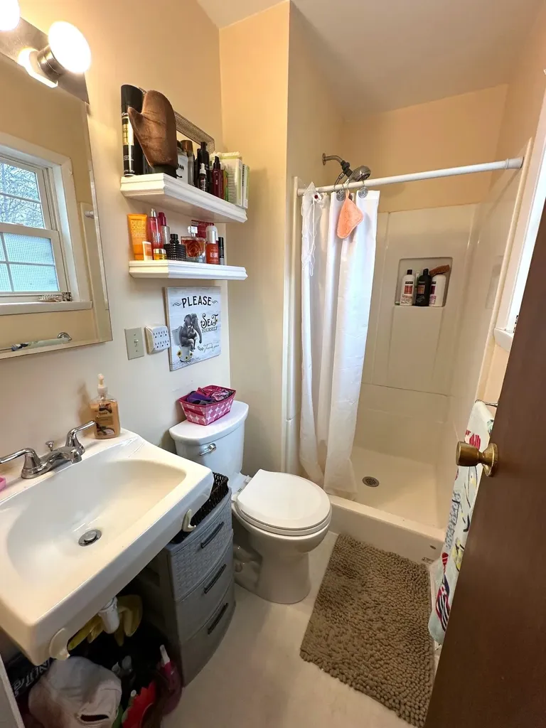 209 West Drive Mt. Pleasant City MI 48858