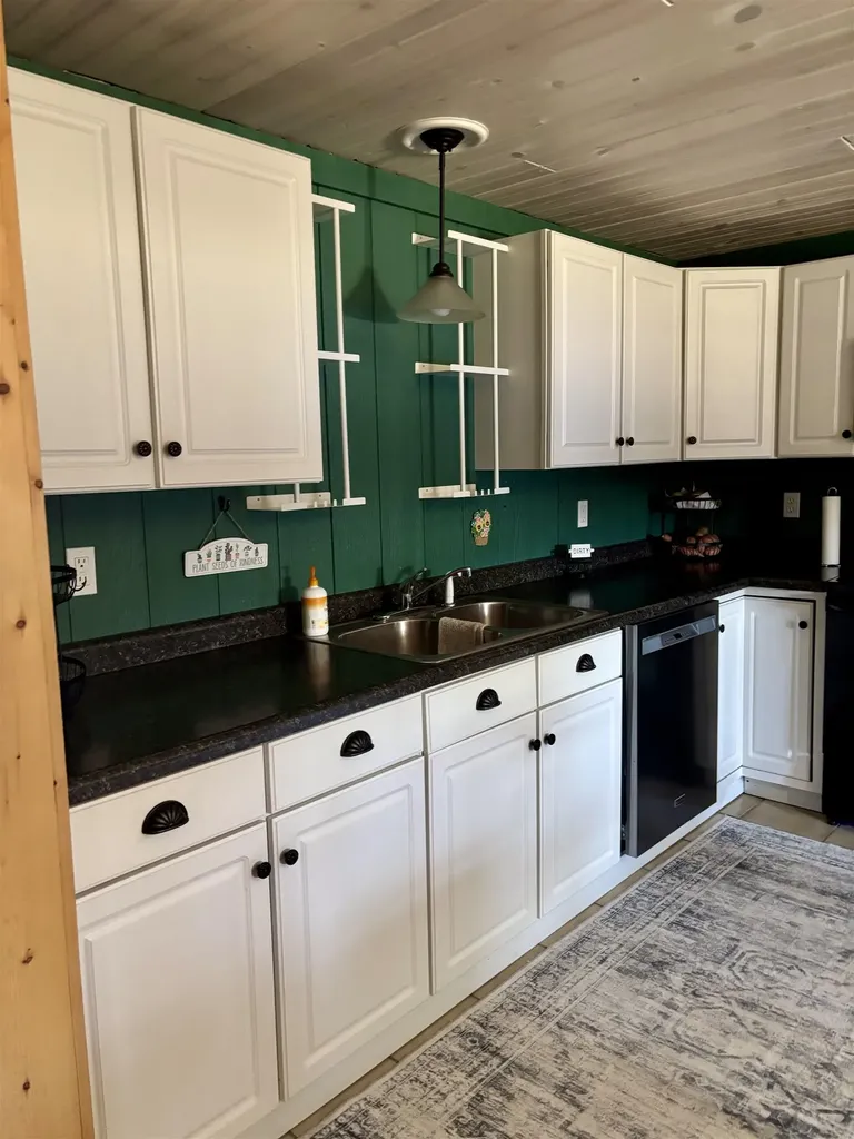 2738 Cathy Street Hamilton Township MI 48625