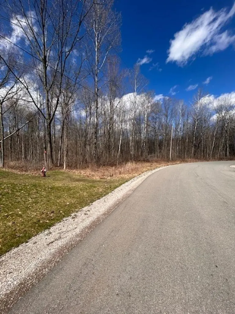 2895 Degeer Court Mills Township MI 48642