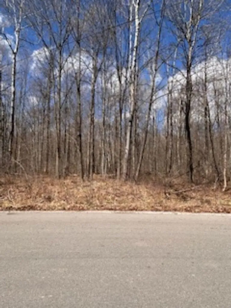 2895 Degeer Court Mills Township MI 48642