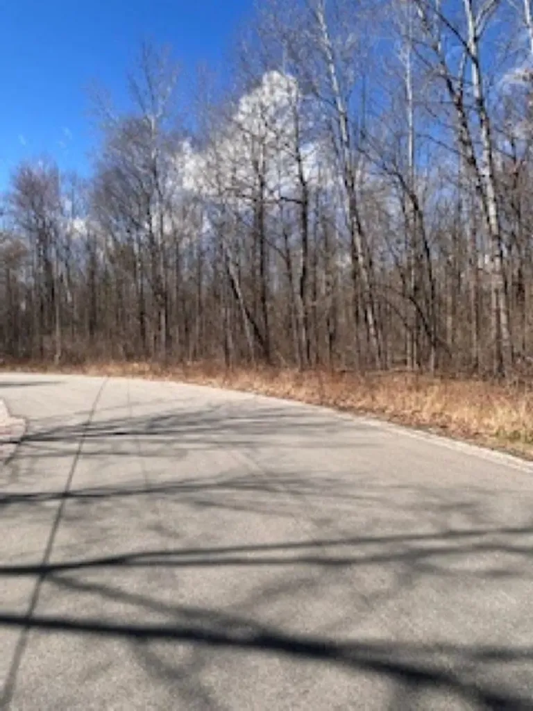 2895 Degeer Court Mills Township MI 48642