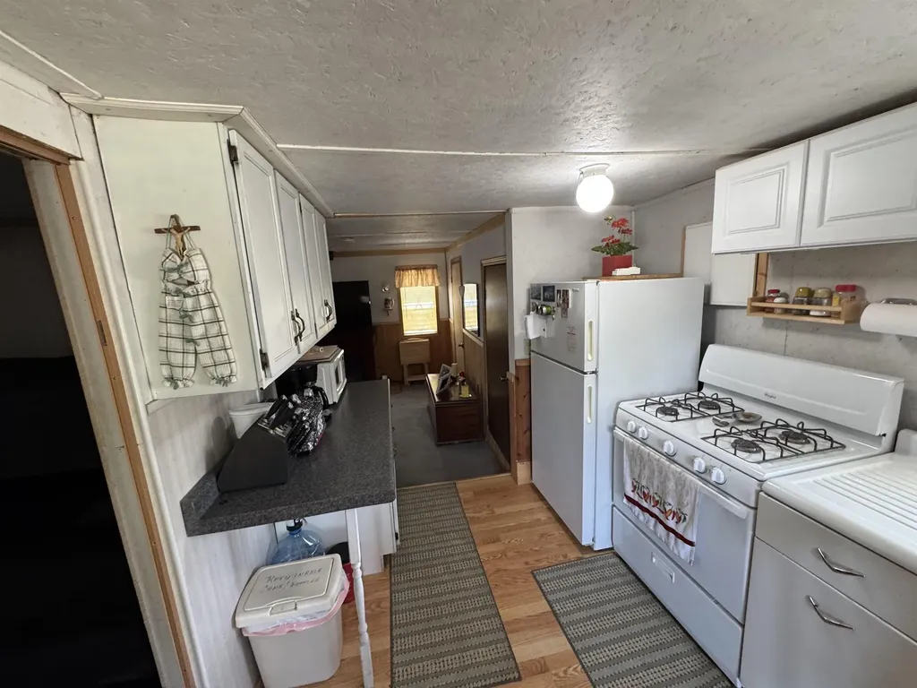 5110 Lucinda Drive Mills Township MI 48756