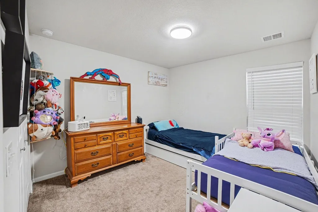 1541 Batson Place Mt. Pleasant City MI 48858