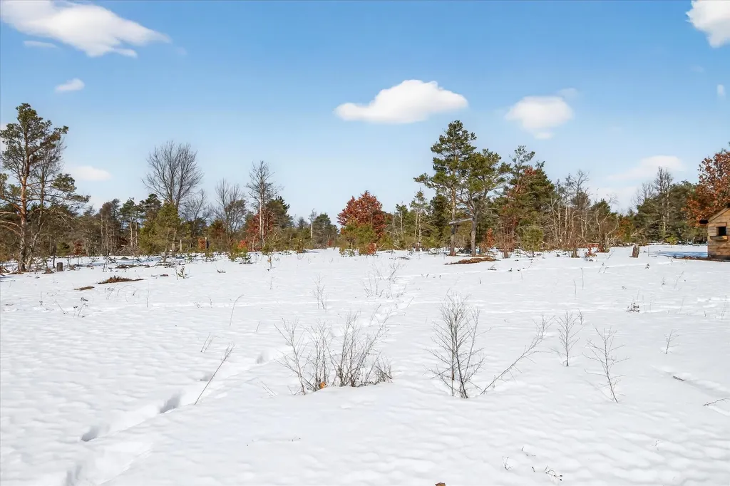 13501 Pioneer Le Roy Township MI 49655