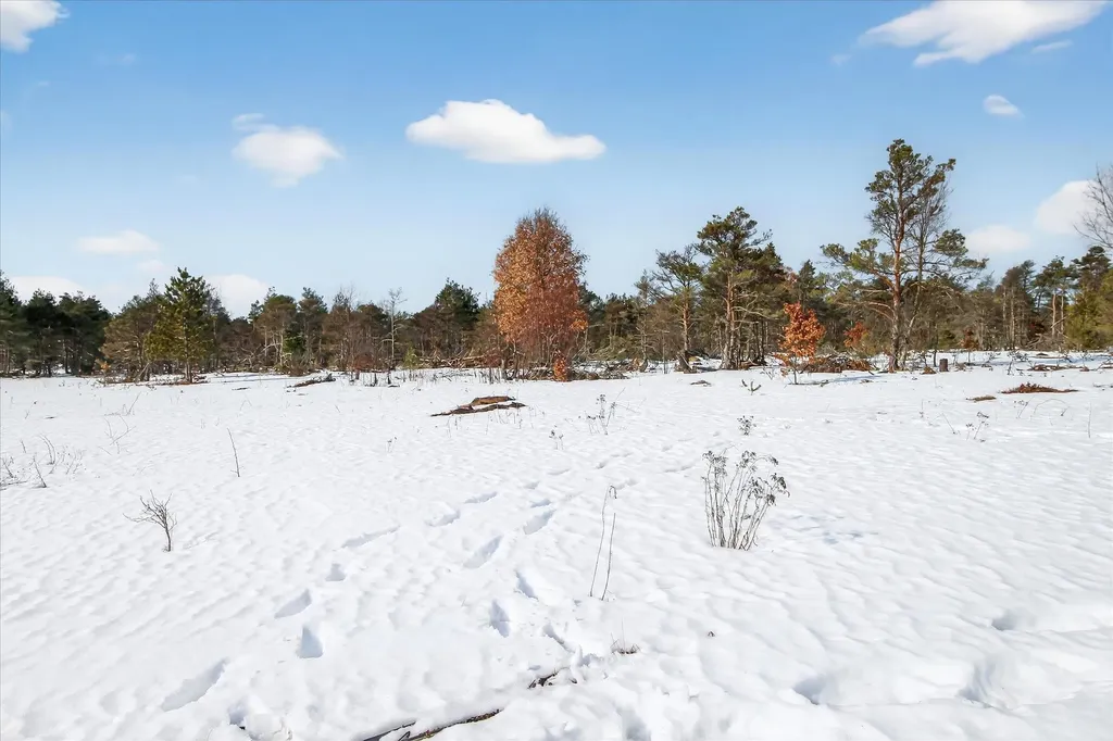 13501 Pioneer Le Roy Township MI 49655