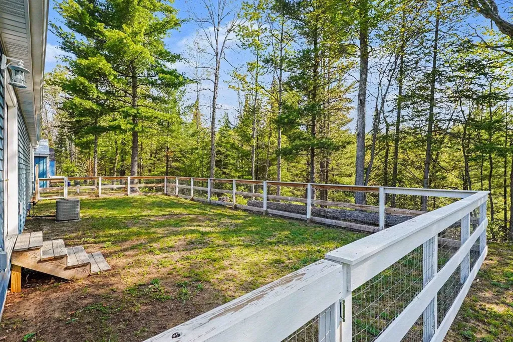 234 W Elder Summerfield Township MI 48625
