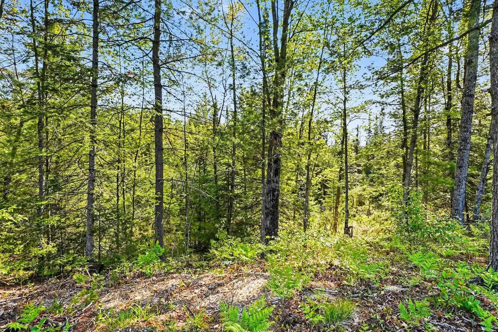 234 W Elder Summerfield Township MI 48625