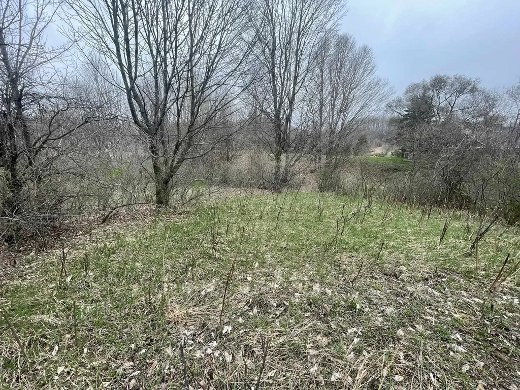 Smith Road East Bay Township MI 49696
