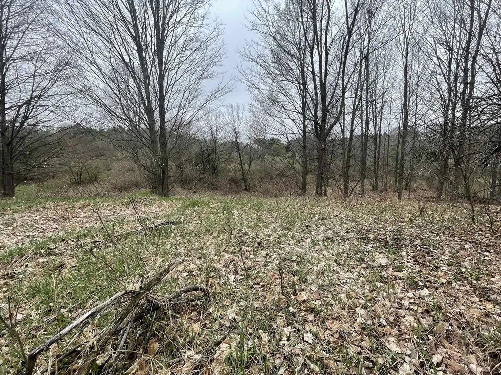 Smith Road East Bay Township MI 49696