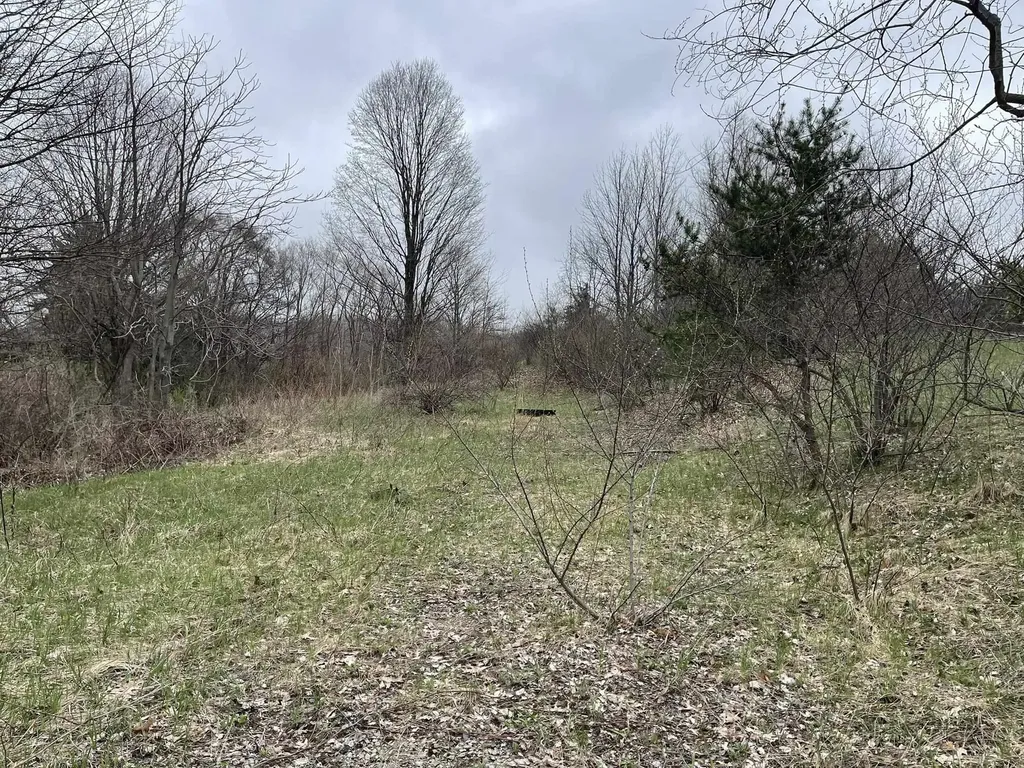 Smith Road East Bay Township MI 49696