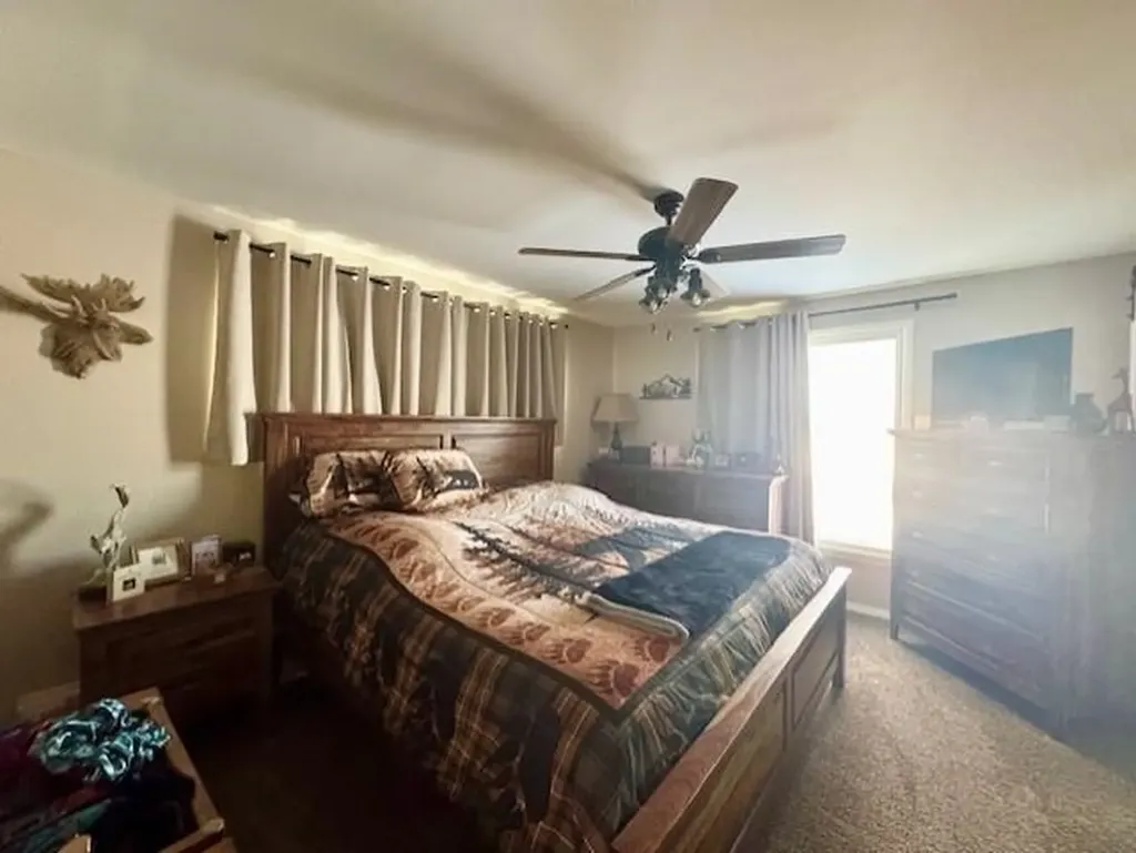 1307 S State Road North Star Township MI 48847