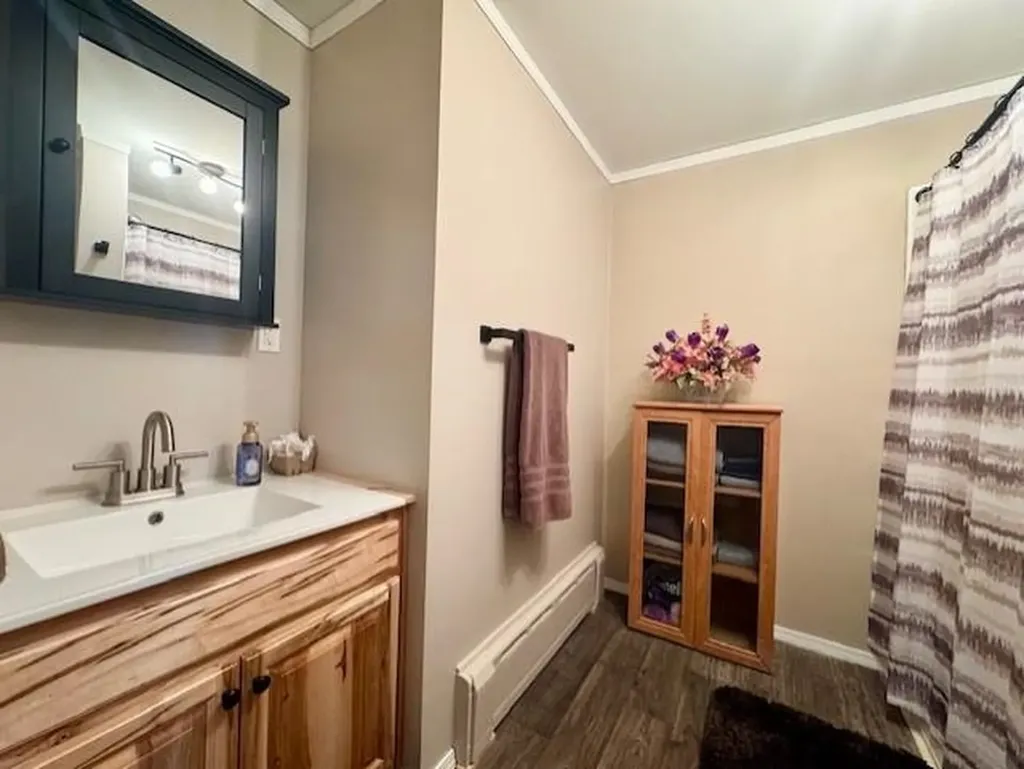 1307 S State Road North Star Township MI 48847