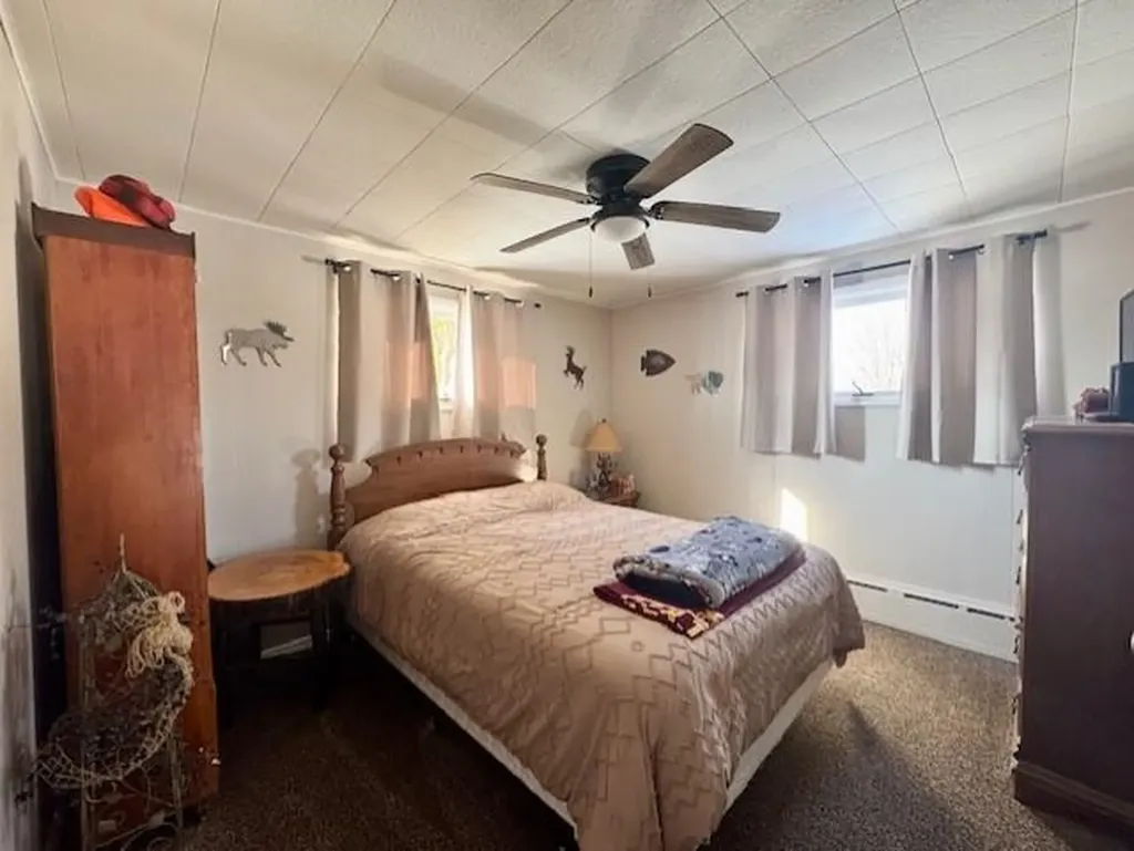 1307 S State Road North Star Township MI 48847