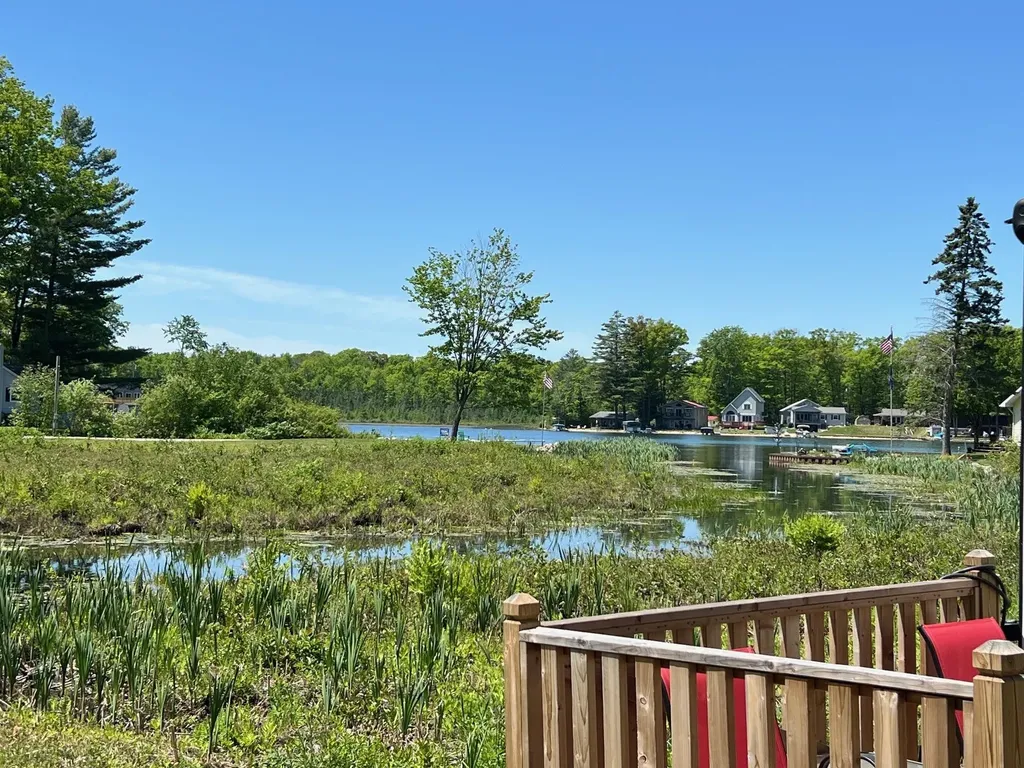 1444 Bungo Trail Lincoln Township MI 48625